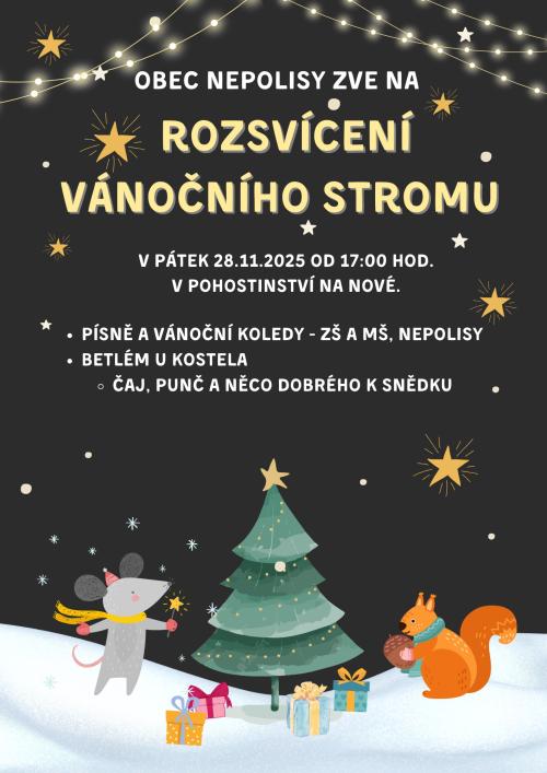 Rozsvícení vánočního stromu