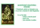 Rozsvícení vánočního stromu u kostela Sv. Máří Magdalény
