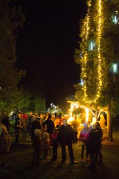 Rozsvícení Vánočního stromu - zahájení adventu, Nepolisy